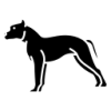 american-staffordshire-terrier-1-1-1.png